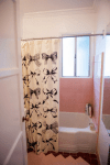into bathroom, shower&nbsp;curtain