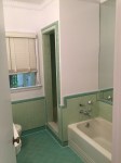 feb-2017 bathroom shower
